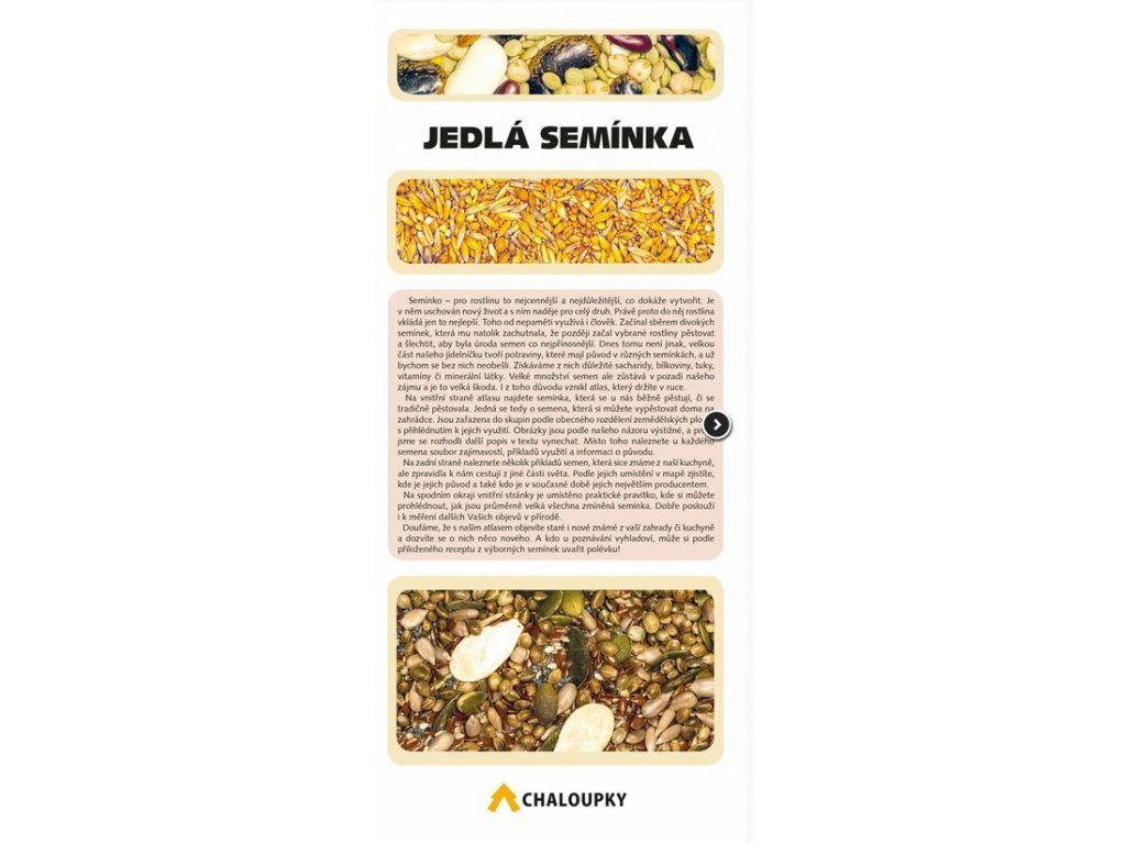 Jedlá semínka