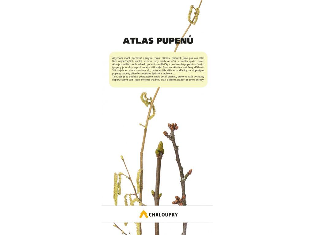 Atlas pupenů