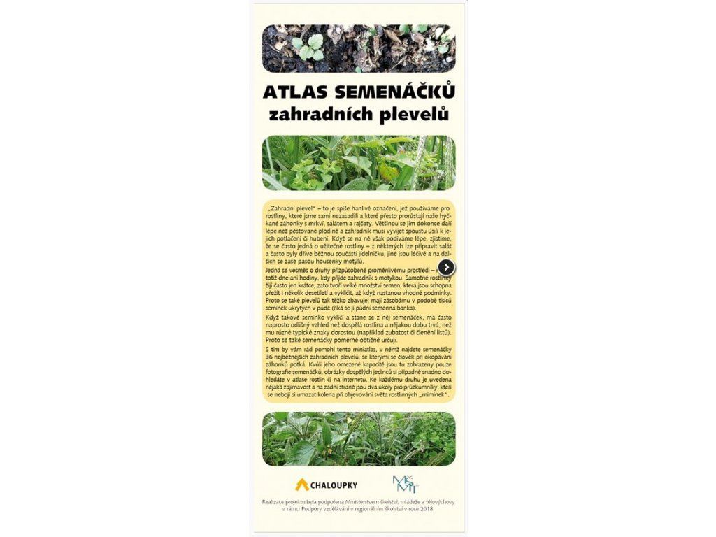 Atlas semenáčků zahradních plevelů