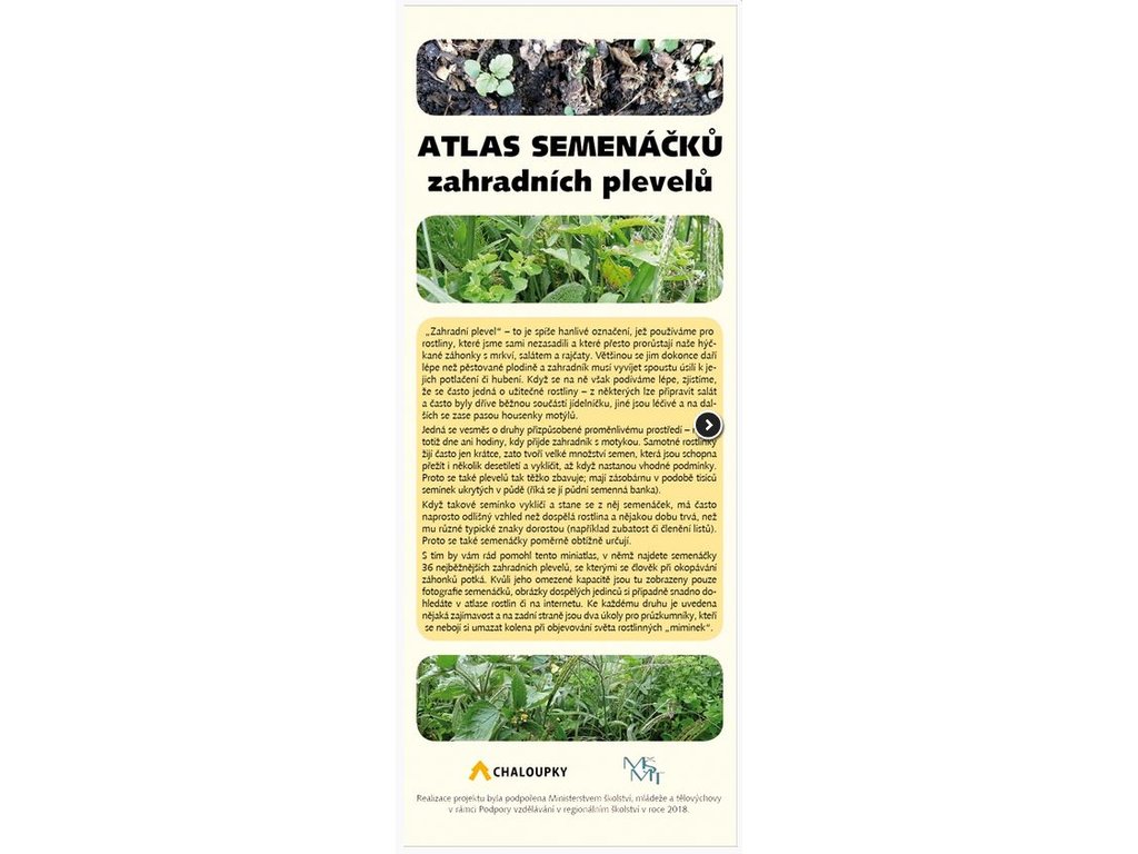 Atlas semenáčků zahradních plevelů