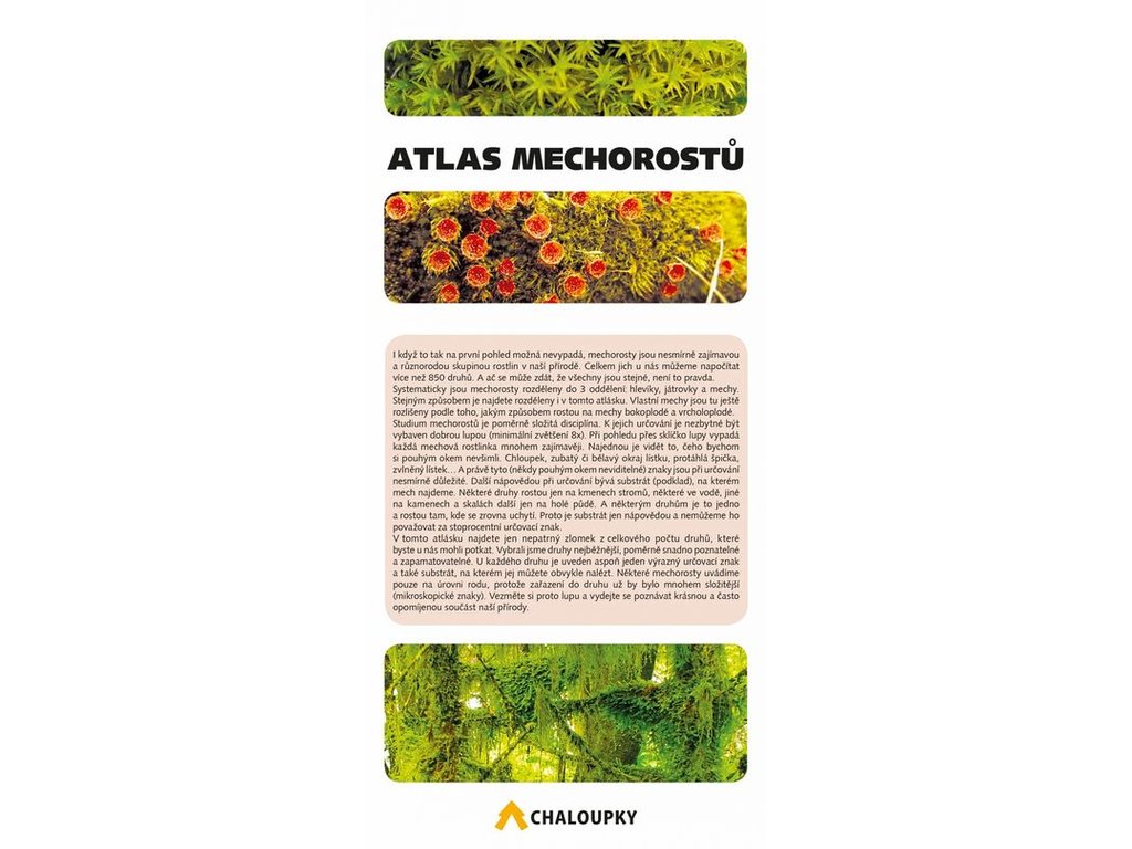 Atlas mechorostů